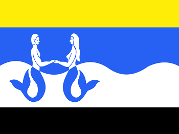 Gemeente vlag van Schouwen Duiveland