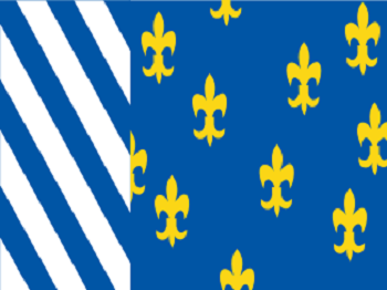 Gemeente vlag van Bellingwedde