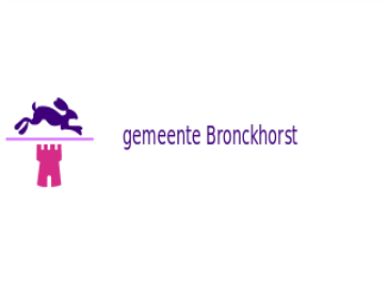 Gemeente vlag van Bronckhorst