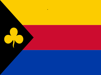 Gemeente vlag van Delfzijl