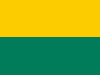 Gemeente vlag van Den Haag