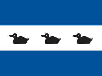 Gemeente vlag van Diemen