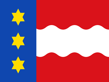 Gemeente vlag van Dongeradeel