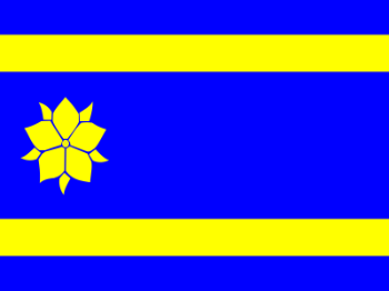 Gemeente vlag van Hattem