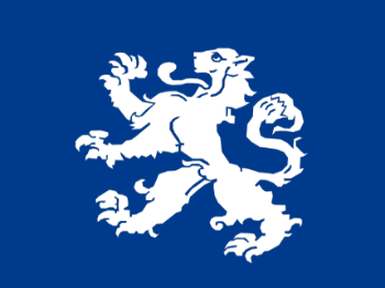 Gemeente vlag van Heemskerk