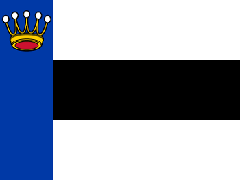 Gemeente vlag van Heerenveen