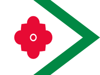 Gemeente vlag van Landerd