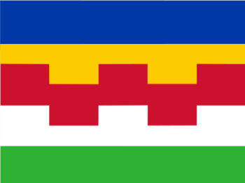 Gemeente vlag van Maasdriel