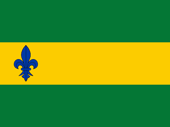 Gemeente vlag van Menterwolde