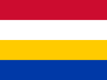 Gemeente vlag van Renkum