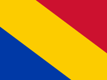 Gemeente vlag van Rheden