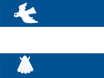 Gemeente vlag van Simpelveld