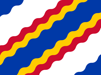 Gemeente vlag van Ten Boer