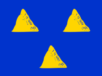 Gemeentevlag v an Tubbergen