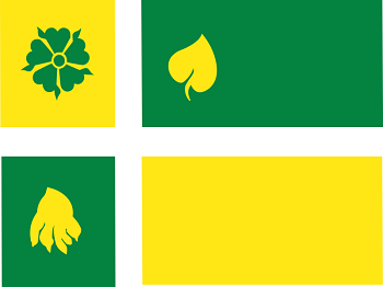 Gemeente vlag van Twente