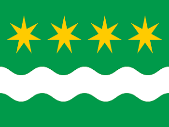 Gemeente vlag van Winsum