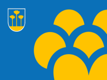 Gemeente vlag van Zoetermeer